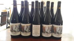 Artist’s Palate: the story of a natural-born sommelier and winemaker