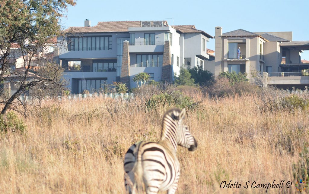 Meyersdal Eco Estate