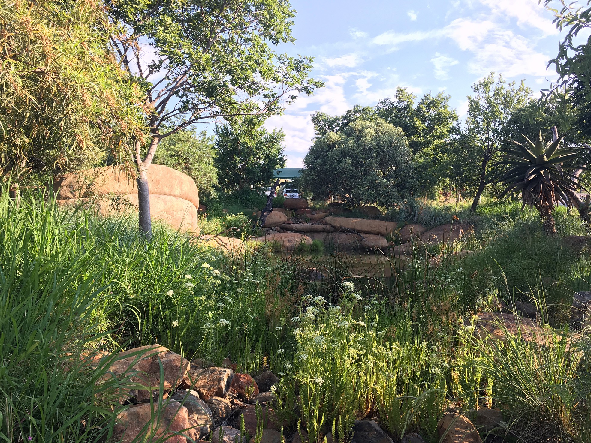 Biodiverse places that connect people to their environment - By the Servest Environmental Team