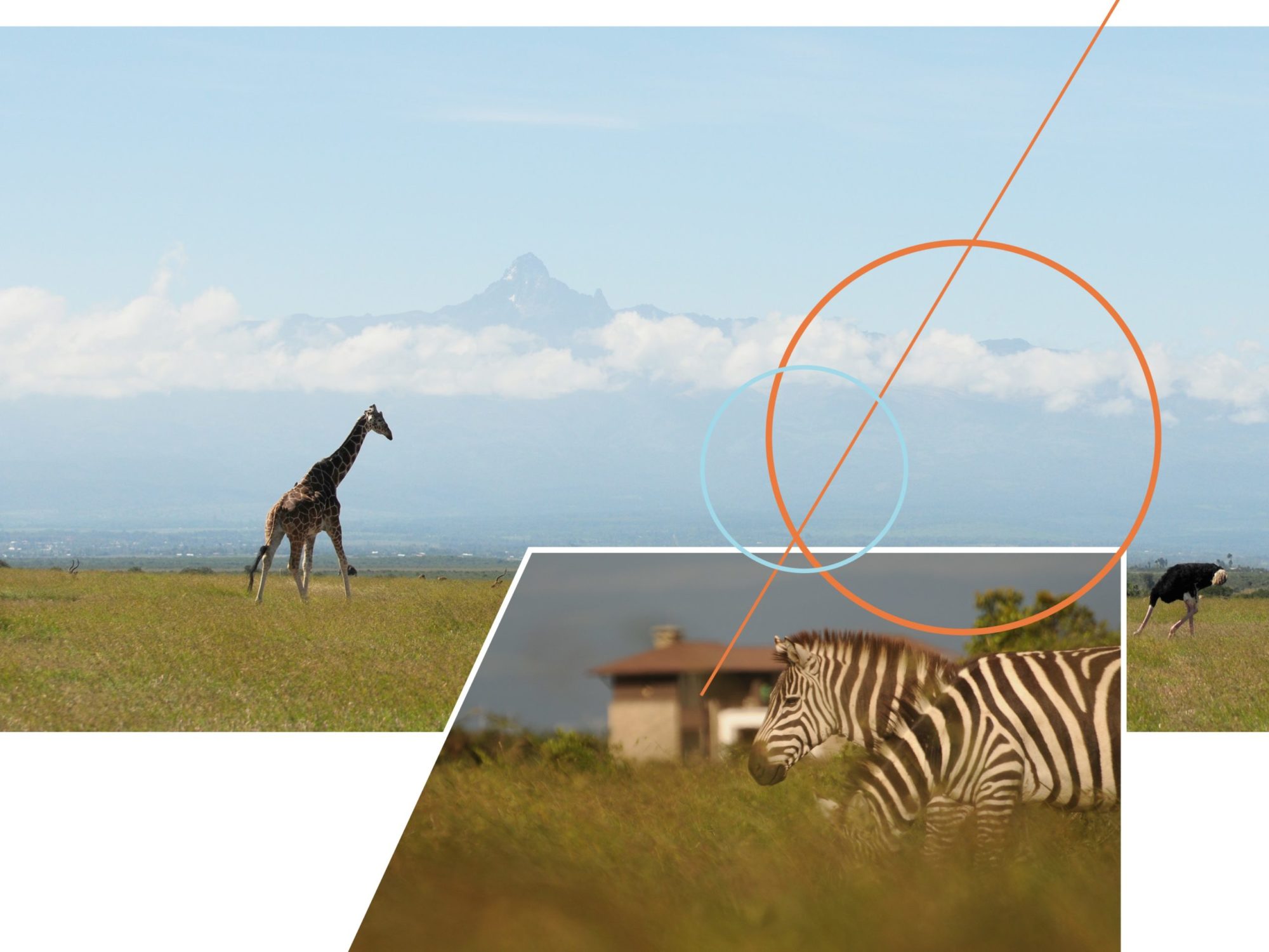 Mount Kenya Wildlife Estate is, located on the vast Ol Pejeta Conservancy, allowing residents to be immersed in Kenya’s tradition of abundant wildlife, right on their doorstep. The estate also offers a viable investment opportunity for a wildlife enthusiast looking for a settled lifestyle in the African bush.