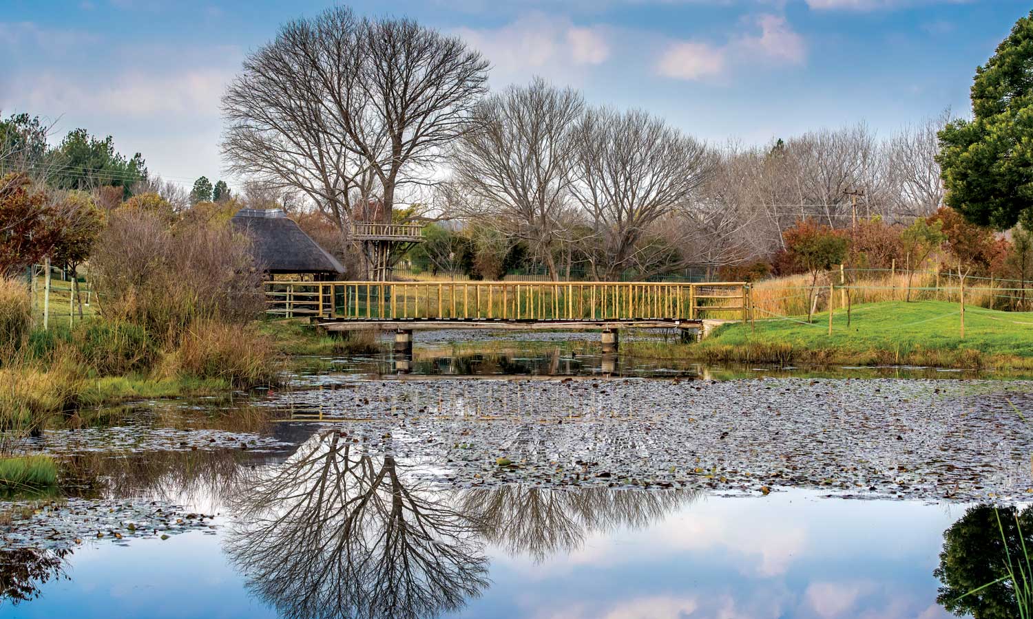 Even though it’s so close to Sandton, and just down the N1 from Pretoria, Kyalami is a world away from the hustle and bustle of Gauteng. Green paddocks enclosed by neat white fences are home to peacefully grazing ponies, shiny show jumpers, lovely Lipizzaners, wonderful warmbloods, and even a rescue donkey or two. For Kyalami is horse country. And Saddlebrook Estate is its Secretariat.