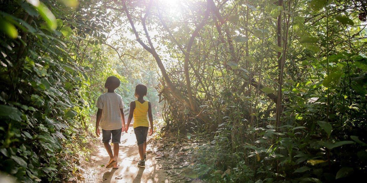 The beautiful plantations of sugar cane that are such an intrinsic part of the landscape of the KZN North Coast are transforming into new urban spaces made up of well-planned mixed-use precincts, and also into green open space and rehabilitated coastal forest.