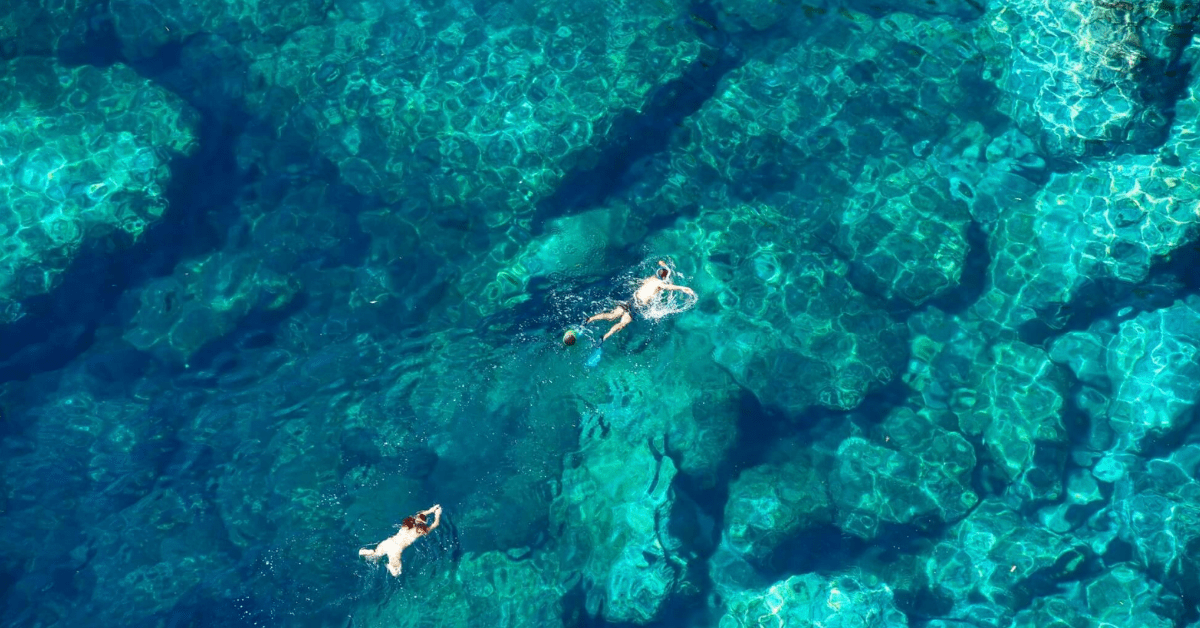 Invest in a Healthier Ocean