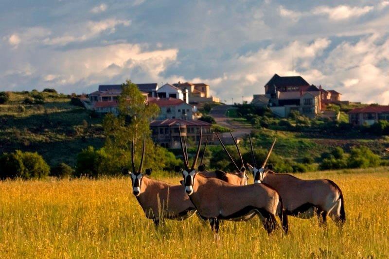 Explore the unique beauty of Meyersdal Eco Estate, where nature thrives among indigenous landscaping and stunning wildlife.