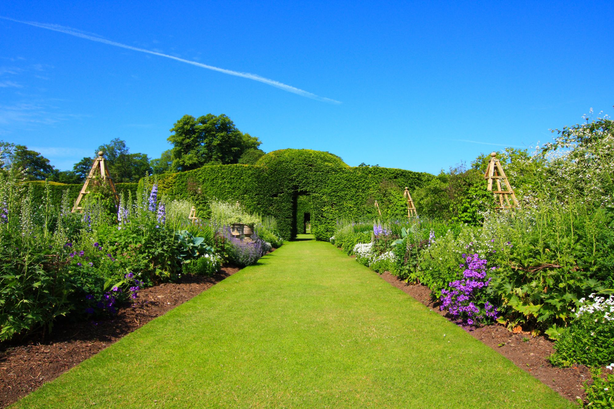 Lawns – lush oases or green deserts?