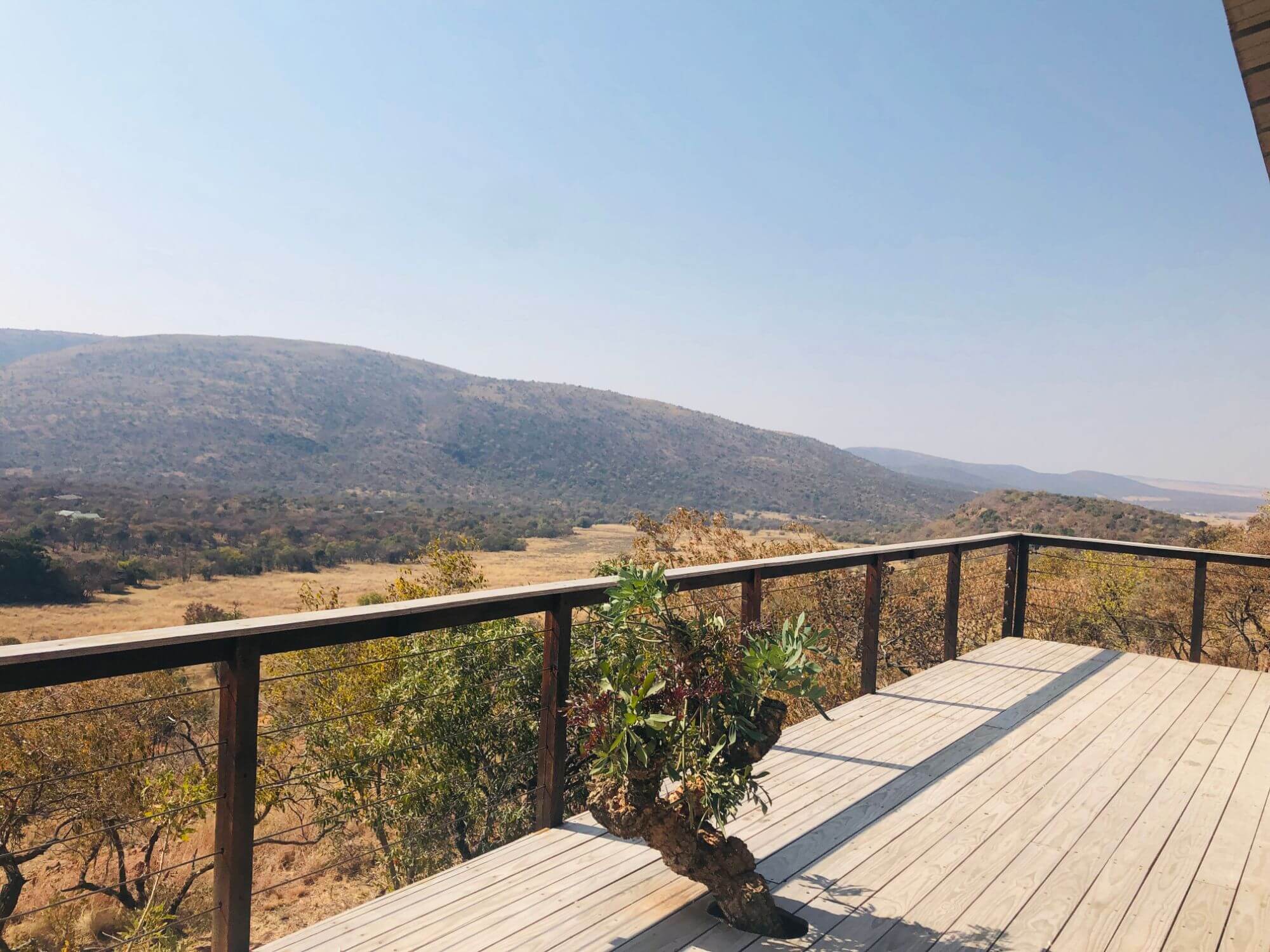 A unique 1,500-hectare bush retreat in the Waterberg, only an hour and a half from Pretoria and two hours from Johannesburg, Boschhoek Mountain Estate offers residents a sanctuary away from the hustle and bustle of Gauteng city life – and offers management some unusual opportunities.