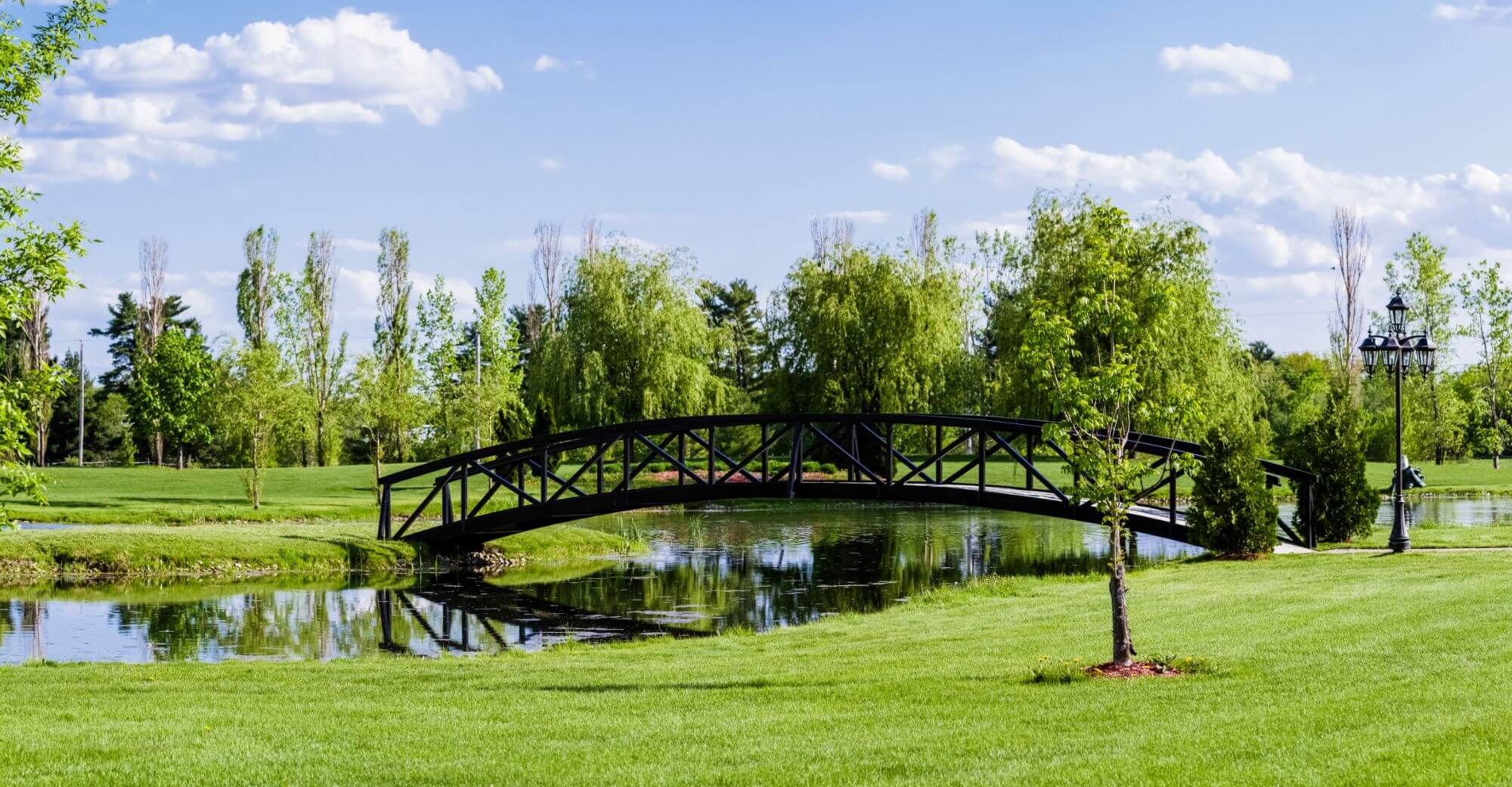 It’s great having a dam, pond, lake or river on an estate, but when it turns green overnight, and things start dying in it, it’s more of a liability than an asset. So, as estate managers, we need to understand – firstly – how this happens, and then how to deal with it.