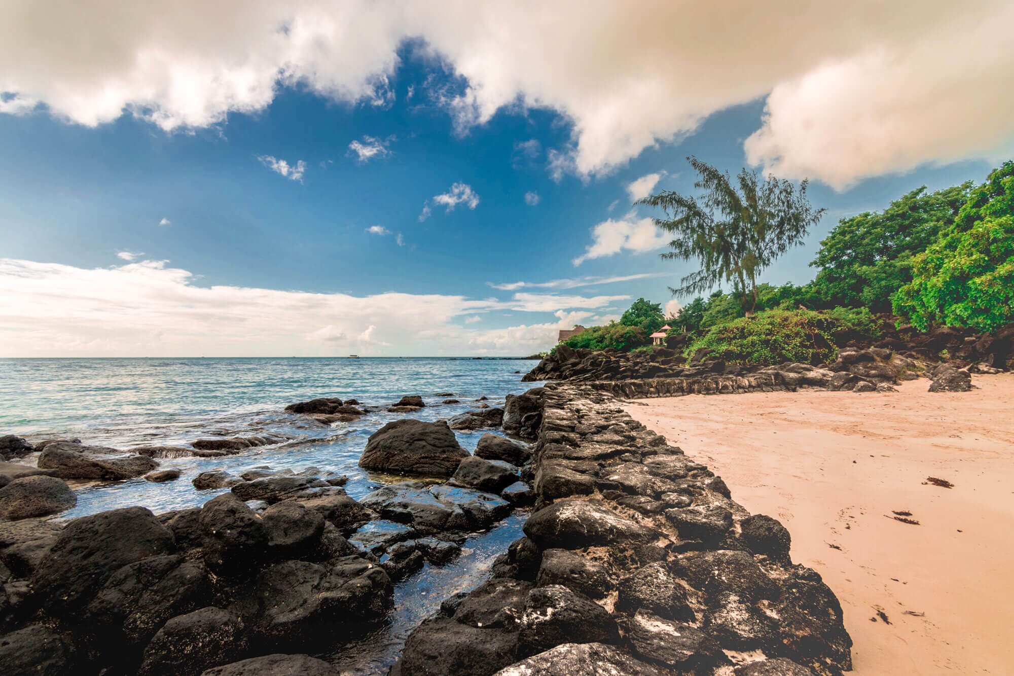 While we struggle to come to grips with the reality, extent and possible fallout of COVID-19, one country has successfully eliminated the disease – Mauritius.