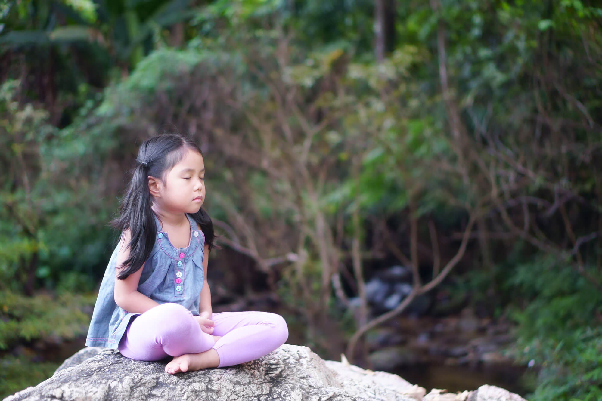 We all know that planting trees, and – even more critically – refraining from cutting down trees are important strategies in the campaign to slow down global climate change. Trees are good for the earth, but trees are good for people too.