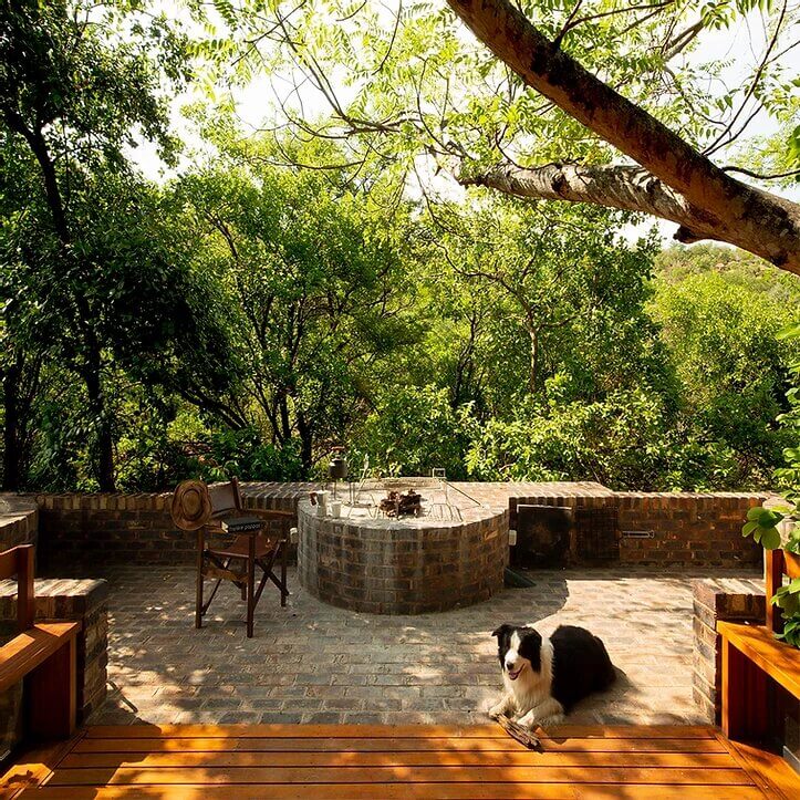 No trees were harmed in the construction of this skinny house