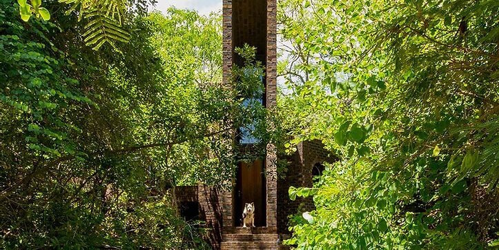 This spectacular, low-impact Frankie Pappas-designed home in the Waterberg sits lightly on the land, appearing to float among the trees. The brief was to design a home that disappears into the landscape, that sits among the rocks and trees and birds, that offers animals and plants and humans equal opportunity to find shelter, and that treats the bushveld with the respect it deserves.