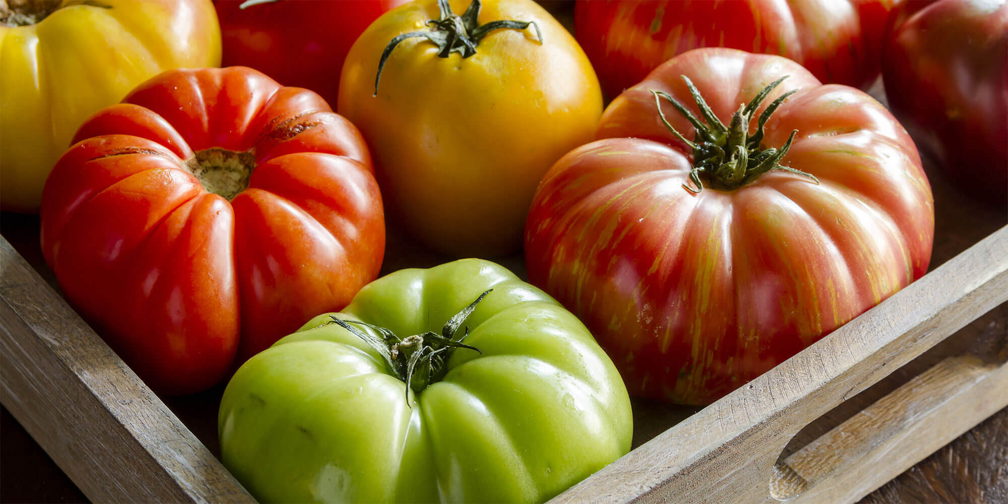 A few years ago I stopped at a farm stall selling pumpkins and cucumbers, and not much else. Now you may think that’s pretty boring – until you see the range of pumpkins and cucumbers!