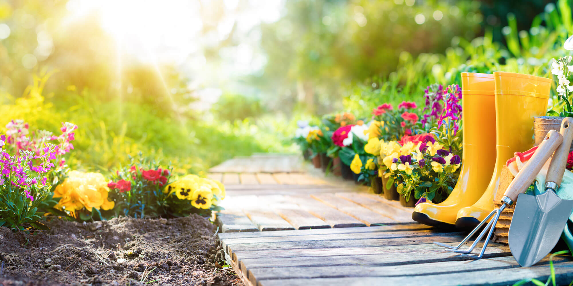 Gardens serve many purposes – decoration, food production, and even status symbols. But gardens can be so much more. Depending on what – and how – you plant, your garden can increase or decrease your risk of fire (and many other things, but let’s stick with fire).