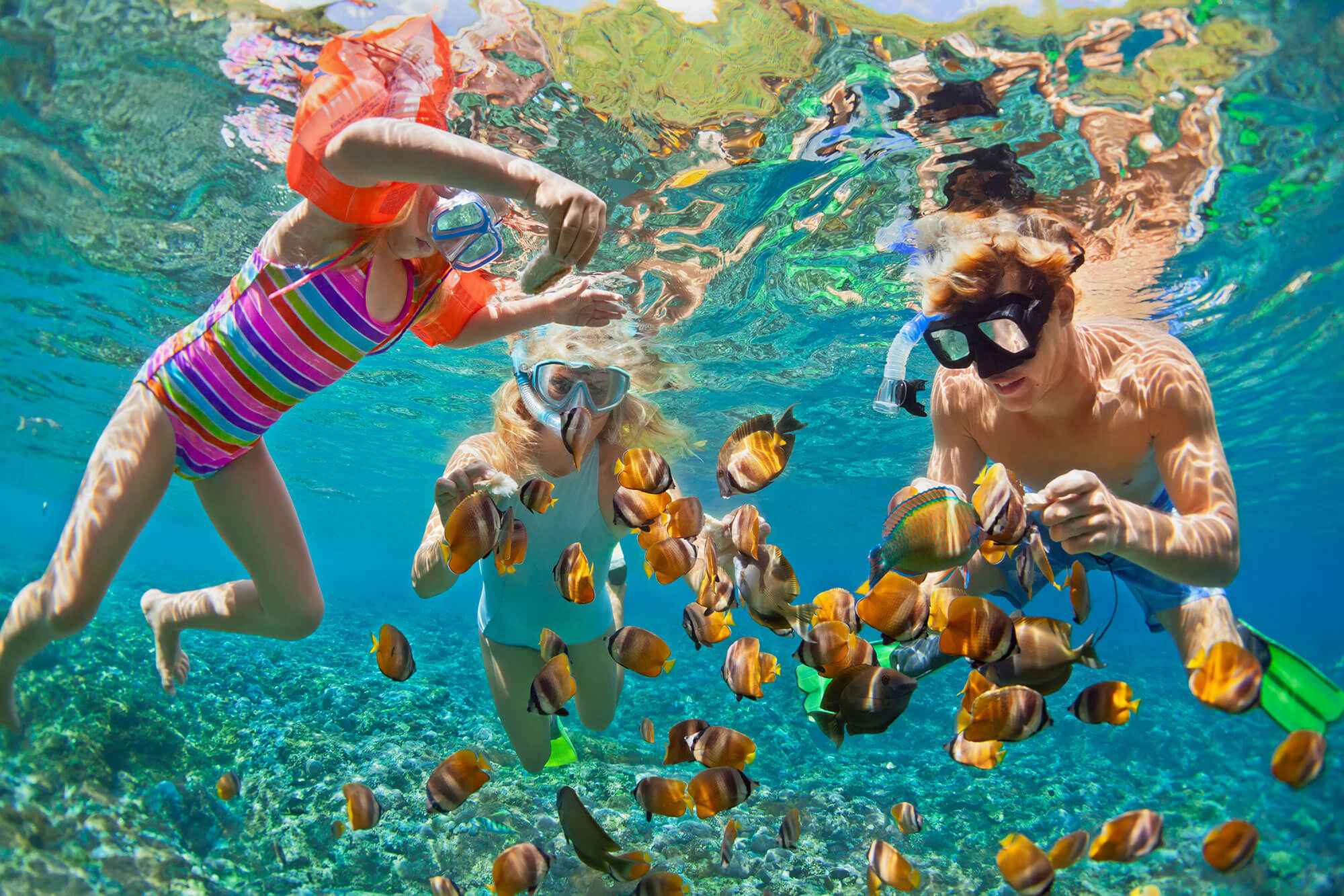 A picture perfect tropical island with crystal-clear turquoise waters lapping golden beaches, Mauritius ticks all the boxes for a beach and watersports holiday. The snorkelling is fantastic, but to really appreciate life beneath the shimmering ocean surface, you need to scuba dive.