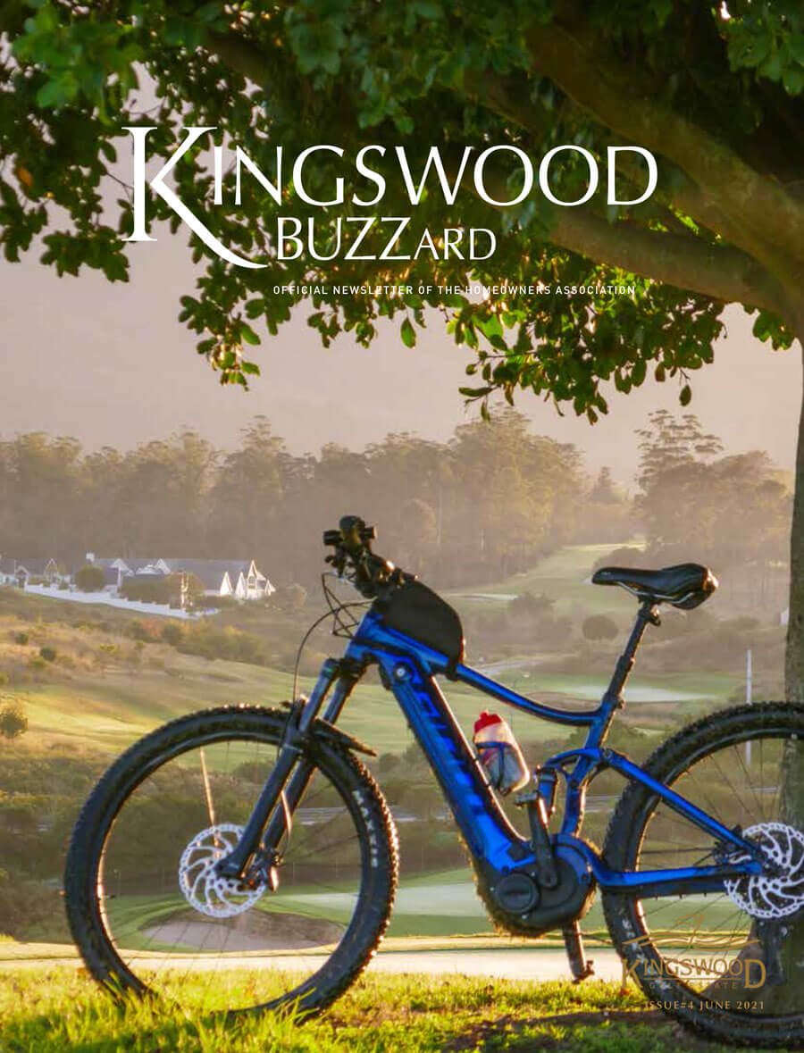 Kingswood BUZZard