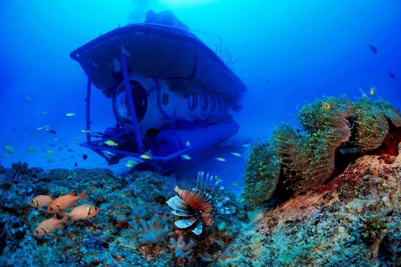 Adventures in Mauritius