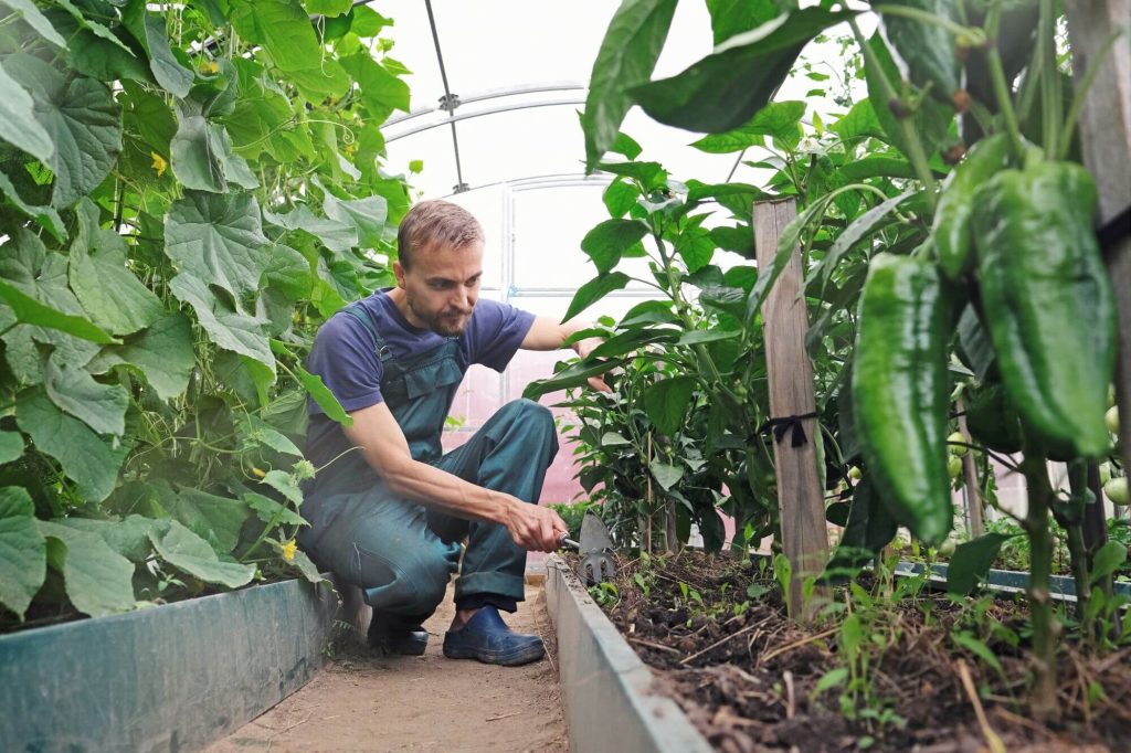 Microfarms probably won’t solve world hunger, but it wouldn’t be far from the truth to say that they may be the best candidate for that honour. And, while it’s unlikely that many people living in residential estates are starving, it’s almost certain that most can benefit from more fresh veggies – and from fresher veggies.