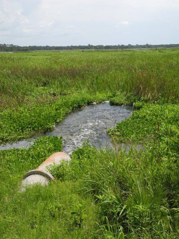 sewerage management on Estates