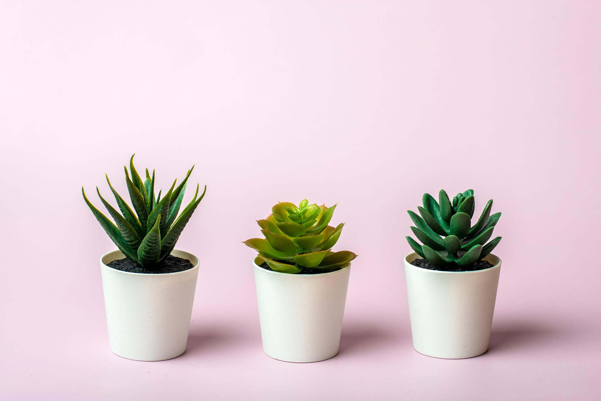 Water smart plants