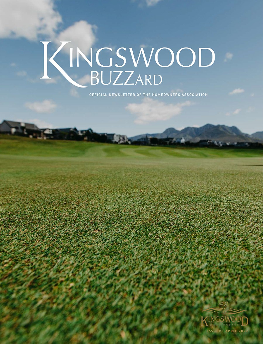 Kingswood Buzzard newsletters