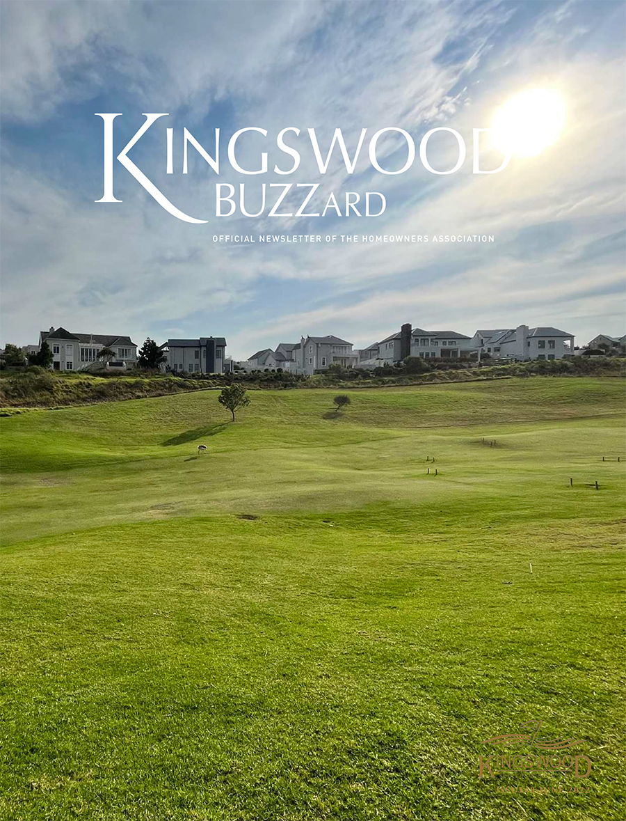 KINGSWOOD BUZZARD