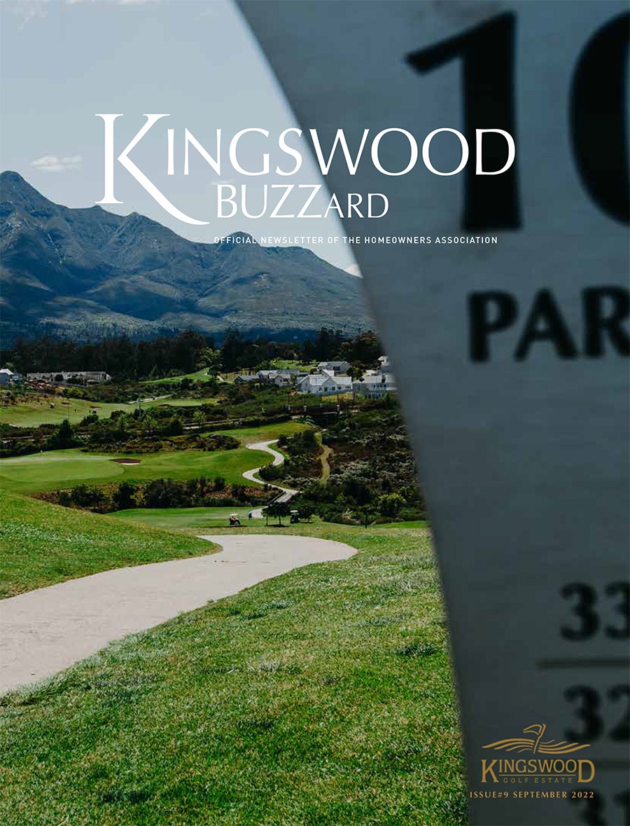Kingswood Buzzard September 2022