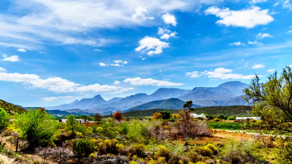 The,Little,Karoo,Region,Of,The,Western,Cape,Province