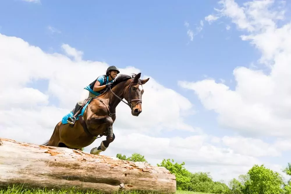 Horse riding