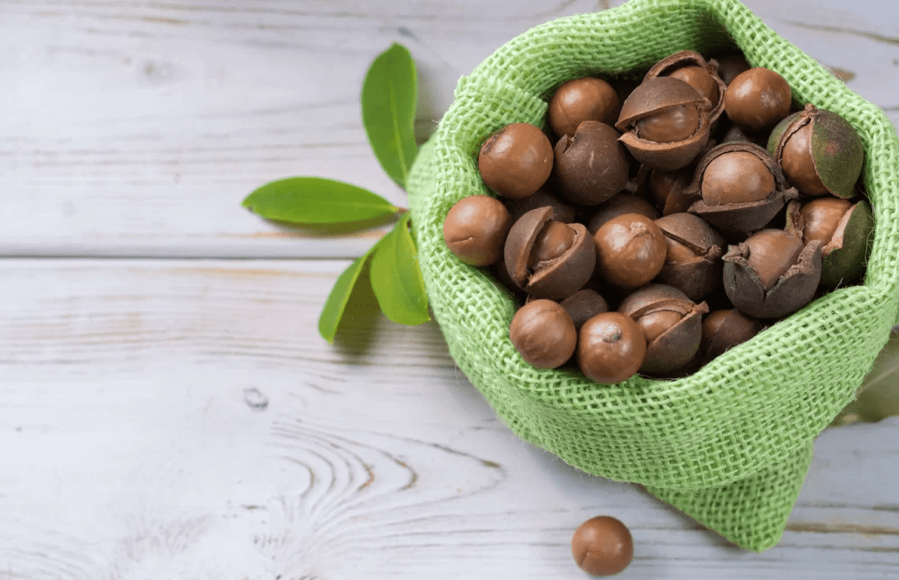 Should you invest in the macadamia nuts industry?