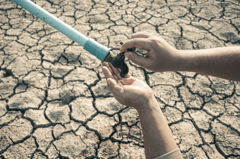 Water Shortages in South Africa – Environmental or Mismanagement?