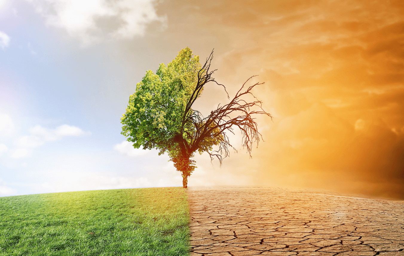 Green Drought