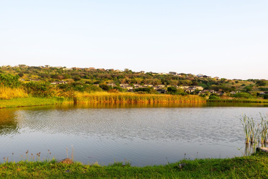 Zini River Estate Homeowners