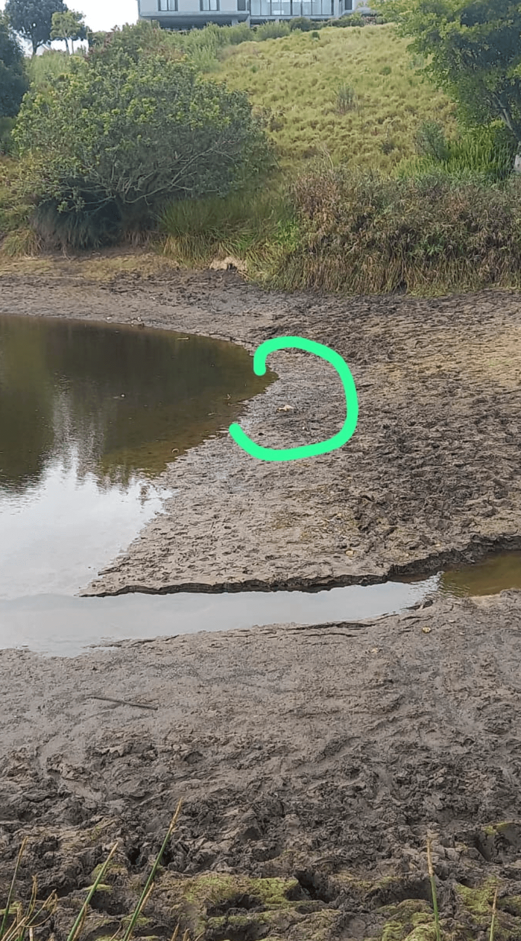 A border of ‘quicksand’ sludge formed around the emptier dam