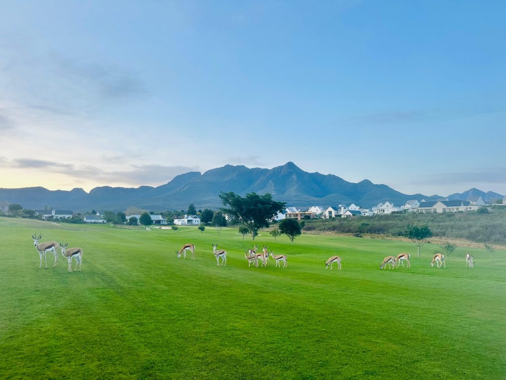 Explore the journey and experiences of building at KINGSWOOD through Dan's insights and operations since 2011.