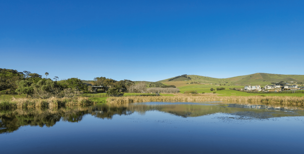 Explore NCA and learn why natural systems are essential for long-term savings and property value enhancement.