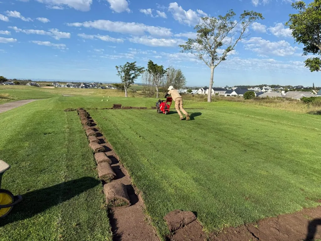 Explore golf at Kingswood and discover the recent course redesign that enhances play and improves overall flow.
